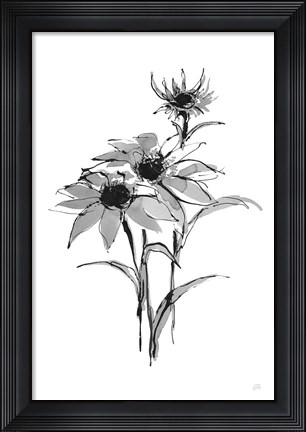 Framed Wash Echinacea I Print