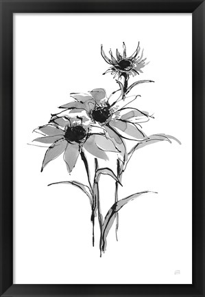 Framed Wash Echinacea I Print