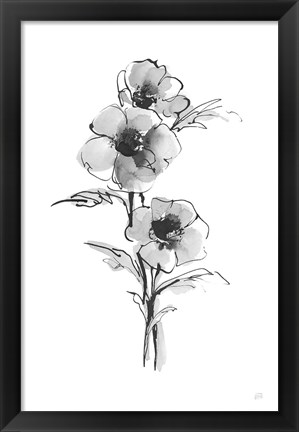 Framed Wash Anemone II Print