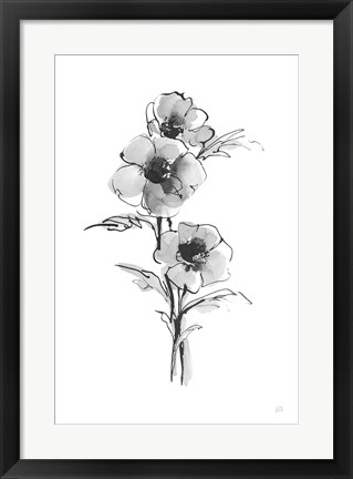 Framed Wash Anemone II Print