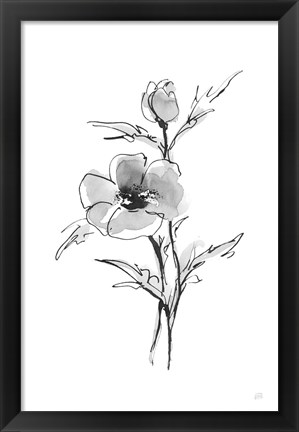 Framed Wash Anemone I Print