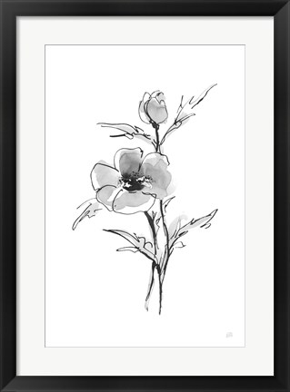 Framed Wash Anemone I Print