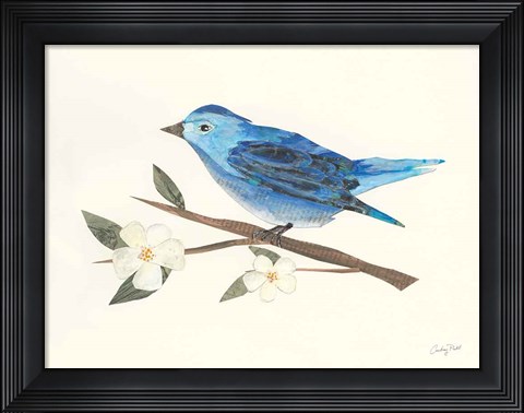 Framed Birds and Blossoms II Print