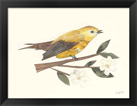 Framed Birds and Blossoms I Print