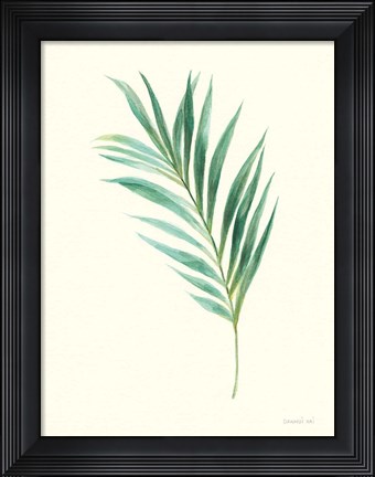 Framed Leaf Study II Print