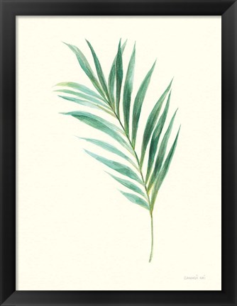 Framed Leaf Study II Print