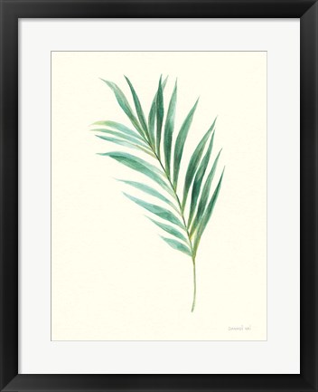 Framed Leaf Study II Print