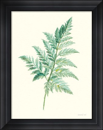 Framed Leaf Study I Print
