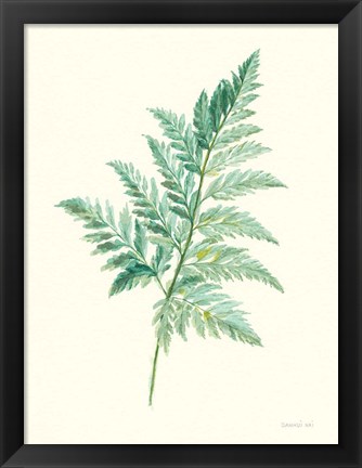 Framed Leaf Study I Print