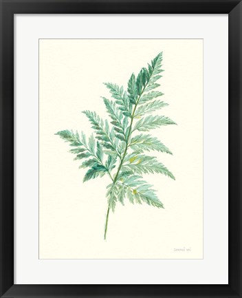 Framed Leaf Study I Print