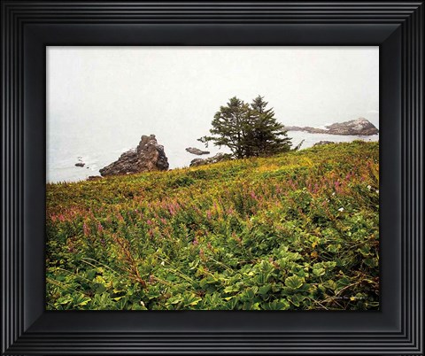Framed Oregon Coast Print