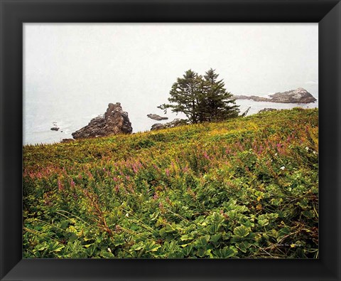 Framed Oregon Coast Print