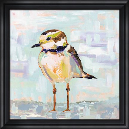 Framed Coastal Plover II Neutral Print