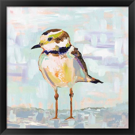 Framed Coastal Plover II Neutral Print