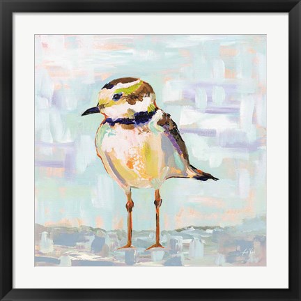 Framed Coastal Plover II Neutral Print