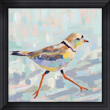 Framed Coastal Plover I Neutral Print