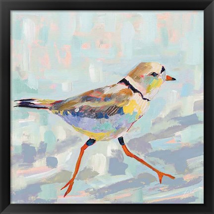 Framed Coastal Plover I Neutral Print