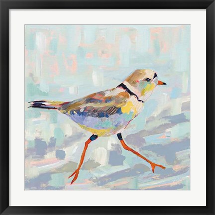 Framed Coastal Plover I Neutral Print