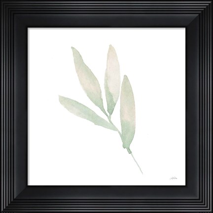 Framed Sage III Print
