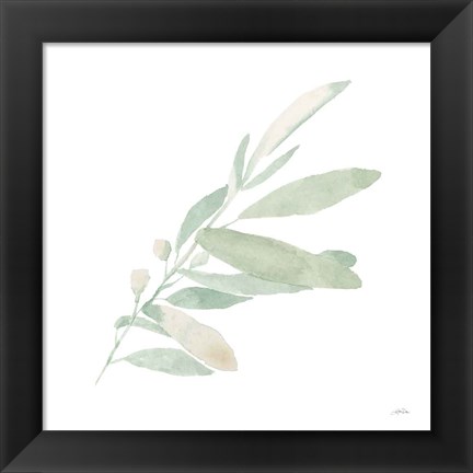 Framed Sage I Print