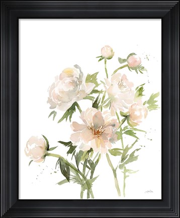 Framed Peonies II Print
