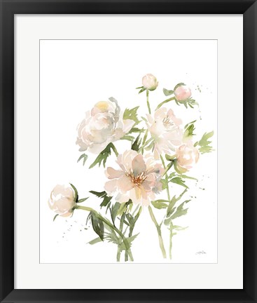 Framed Peonies II Print