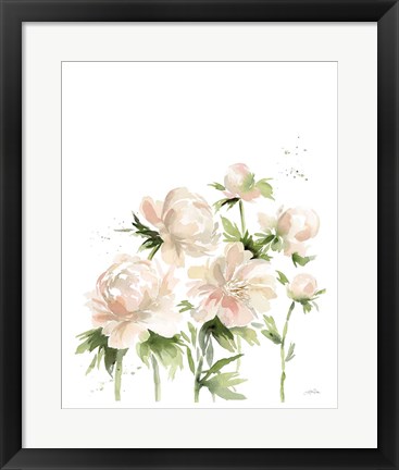 Framed Peonies I Print