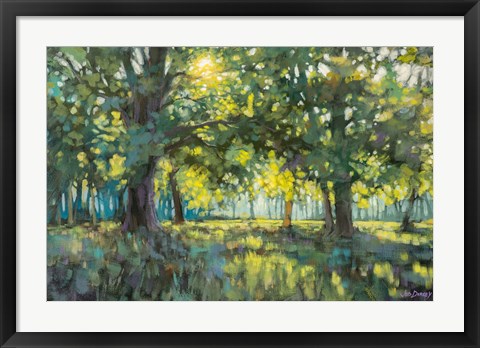 Framed Through Silent Trees Print