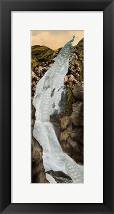 Framed Peacock Falls Print