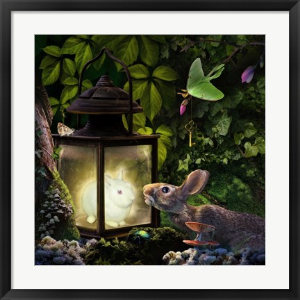 Framed Luminant Print