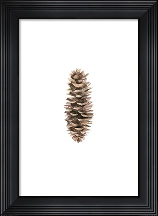 Framed Pine Cone I Print