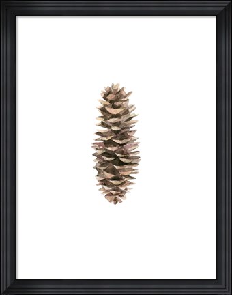 Framed Pine Cone I Print