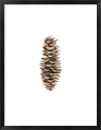 Framed Pine Cone I Print