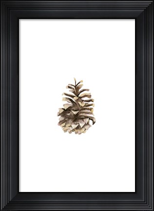 Framed Pine Cone II Print