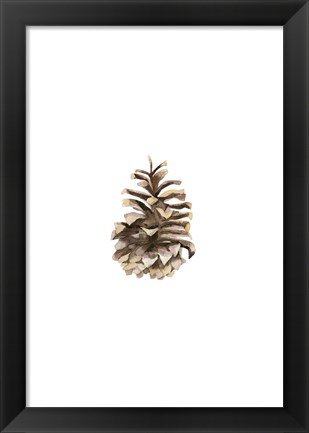 Framed Pine Cone II Print