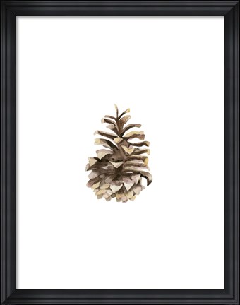 Framed Pine Cone II Print