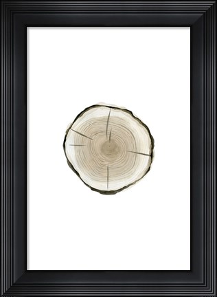 Framed Tree Slice I Print