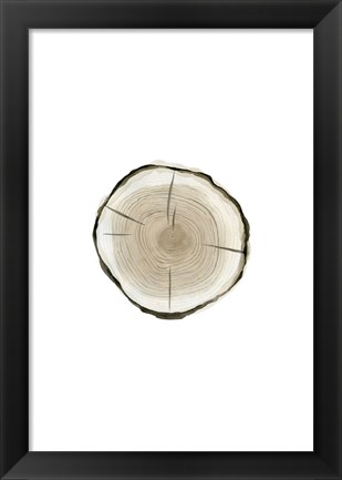 Framed Tree Slice I Print