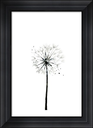 Framed Dandelion Print