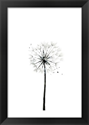 Framed Dandelion Print