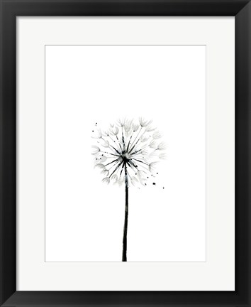 Framed Dandelion Print
