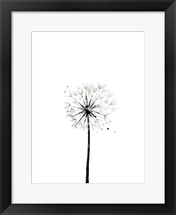 Framed Dandelion Print