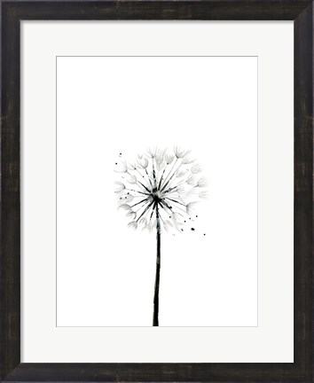 Framed Dandelion Print