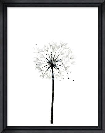Framed Dandelion Print