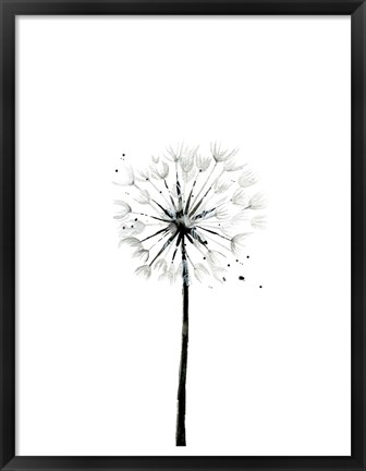 Framed Dandelion Print