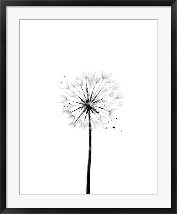 Framed Dandelion Print