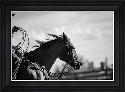 Framed Runnin&#39; Against the Wind Print