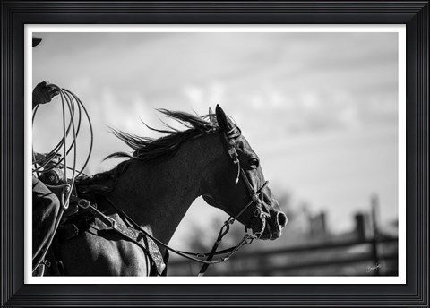 Framed Runnin&#39; Against the Wind Print