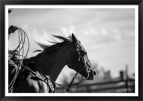 Framed Runnin&#39; Against the Wind Print