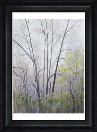 Framed Early Spring Print